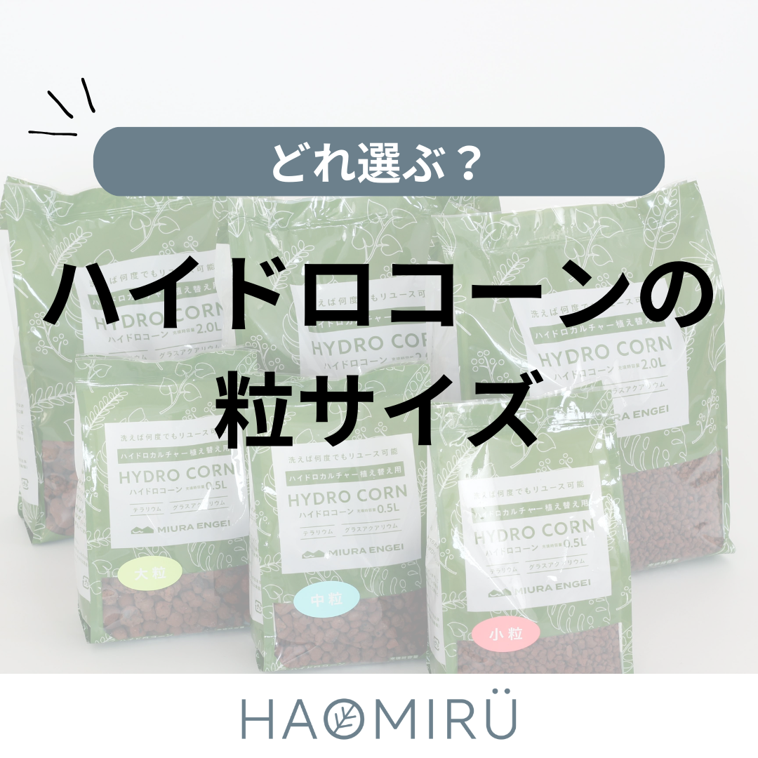 HAOMIRU（ハオミル）お役立ち情報「どれ選ぶ？ハイドロコーンの粒サイズ」